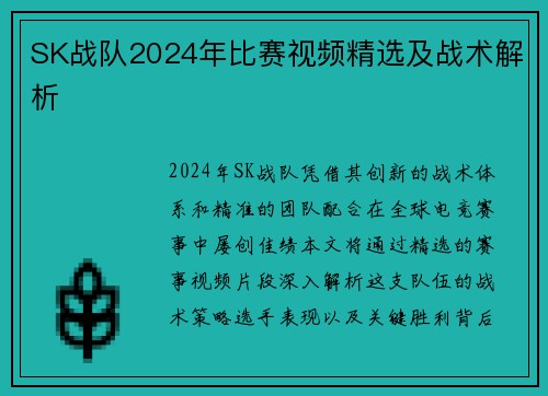 SK战队2024年比赛视频精选及战术解析