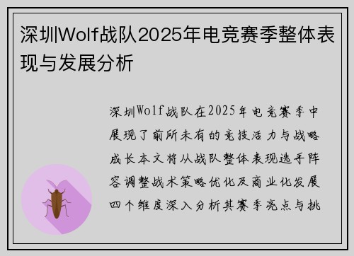 深圳Wolf战队2025年电竞赛季整体表现与发展分析
